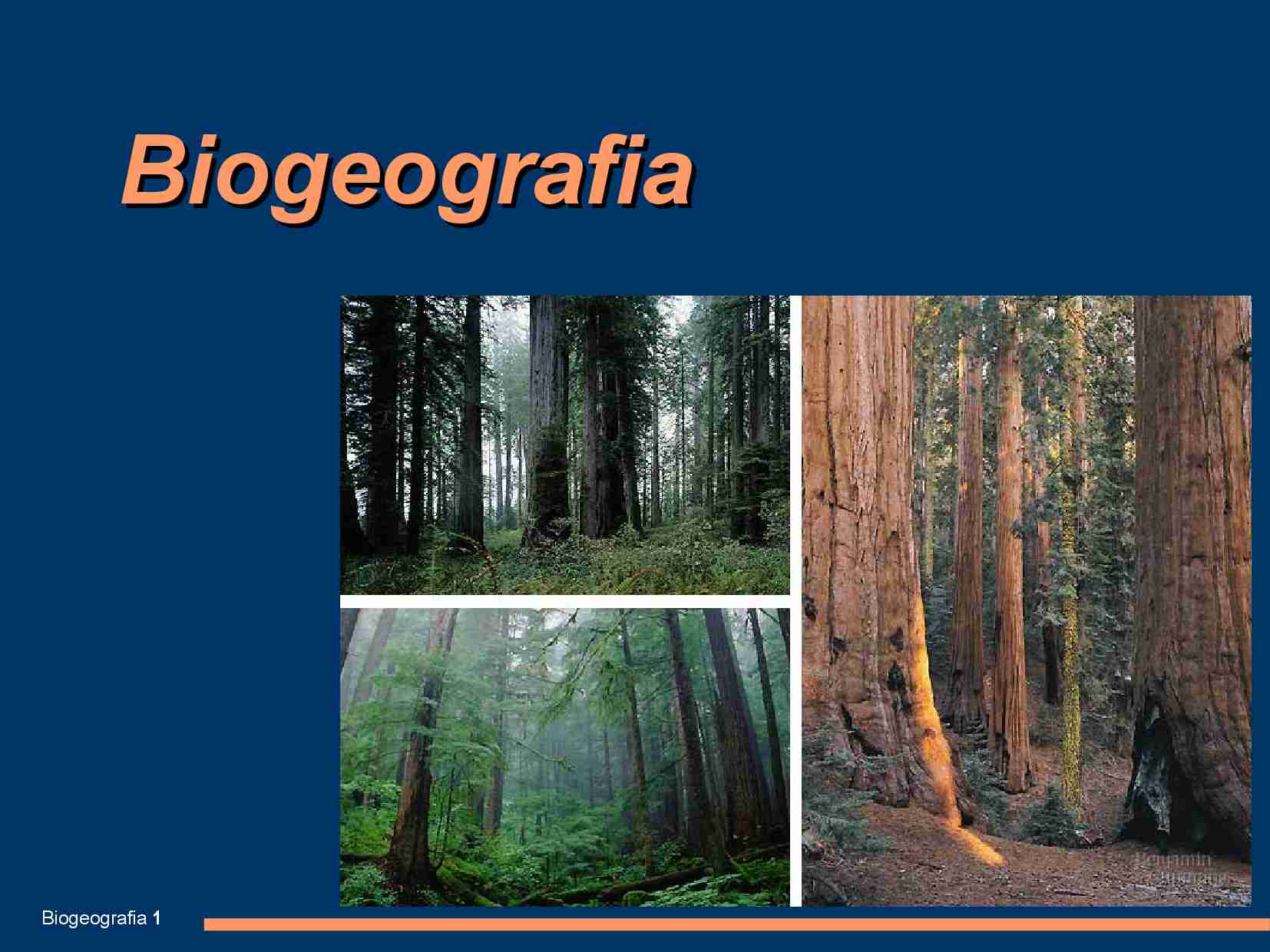 Biogeografia - wykład - strona 1