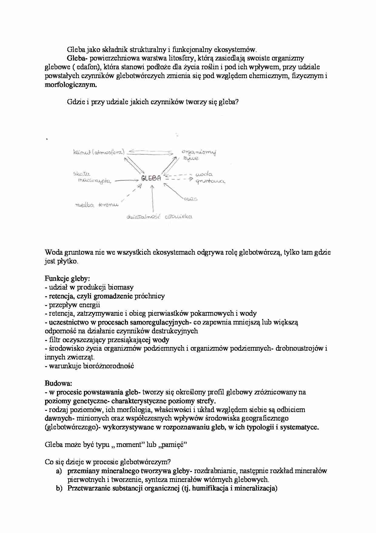 Charakterystyka gleby - procesy glebotwórcze(wykłady) - strona 1