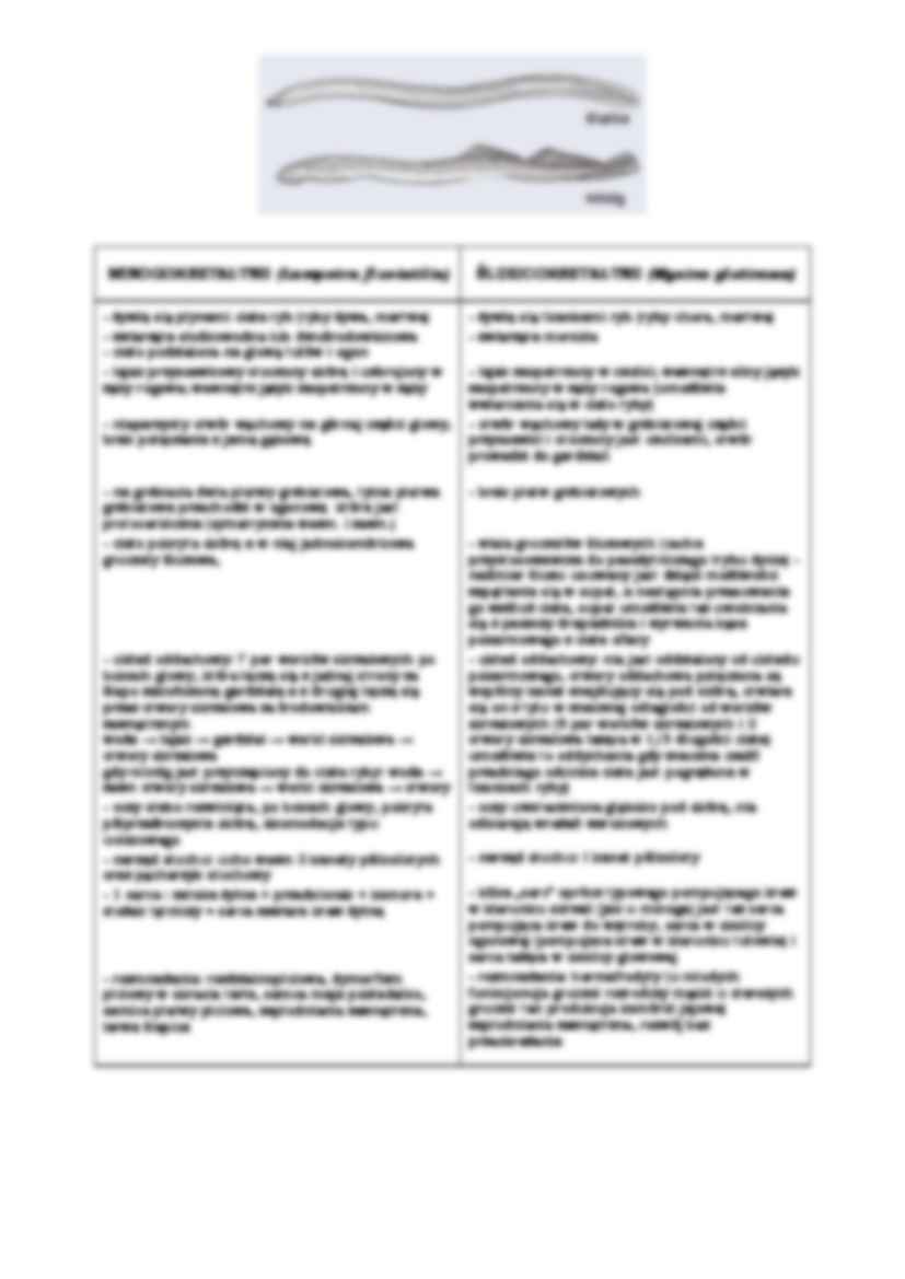 Systematyka strunowców - RYBY - strona 2
