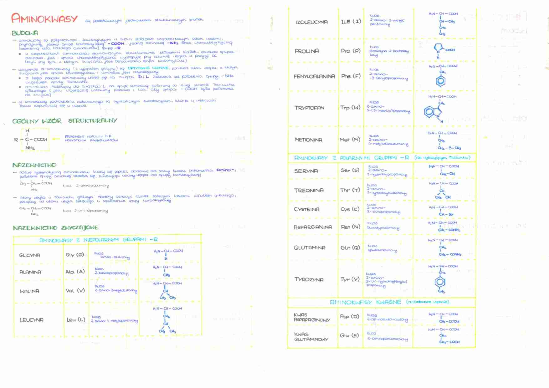 Biochemia - aminokwasy, peptydy i białka - strona 1