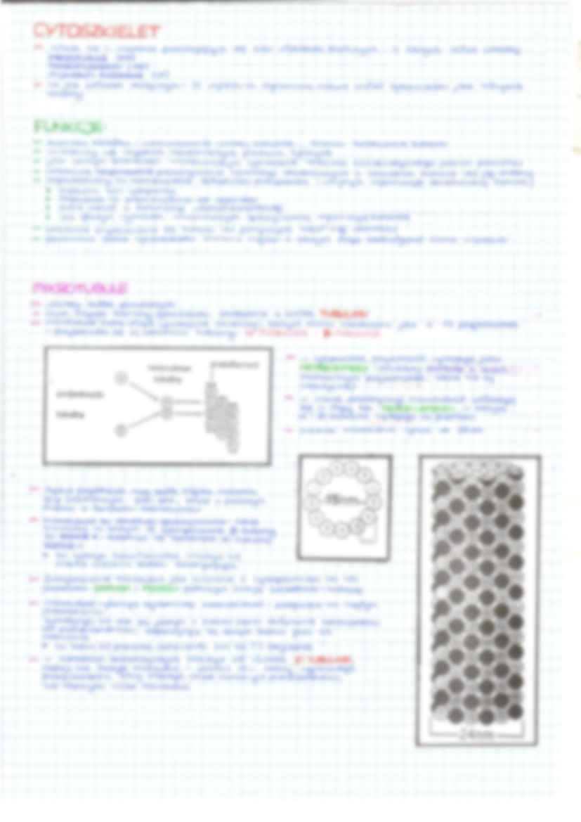 Budowa komórki - cytoplazma - strona 3