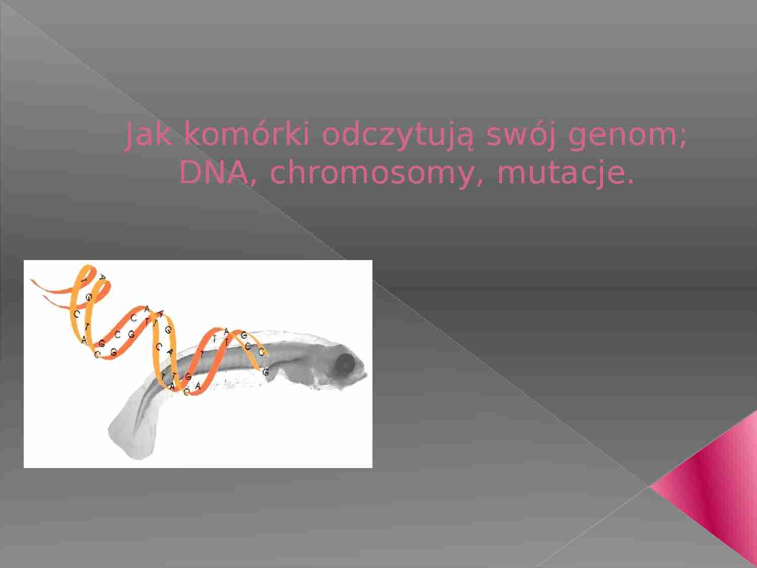 Jak komórki odczytują swój genom; DNA, chromosomy, mutacje - prezentacja - strona 1