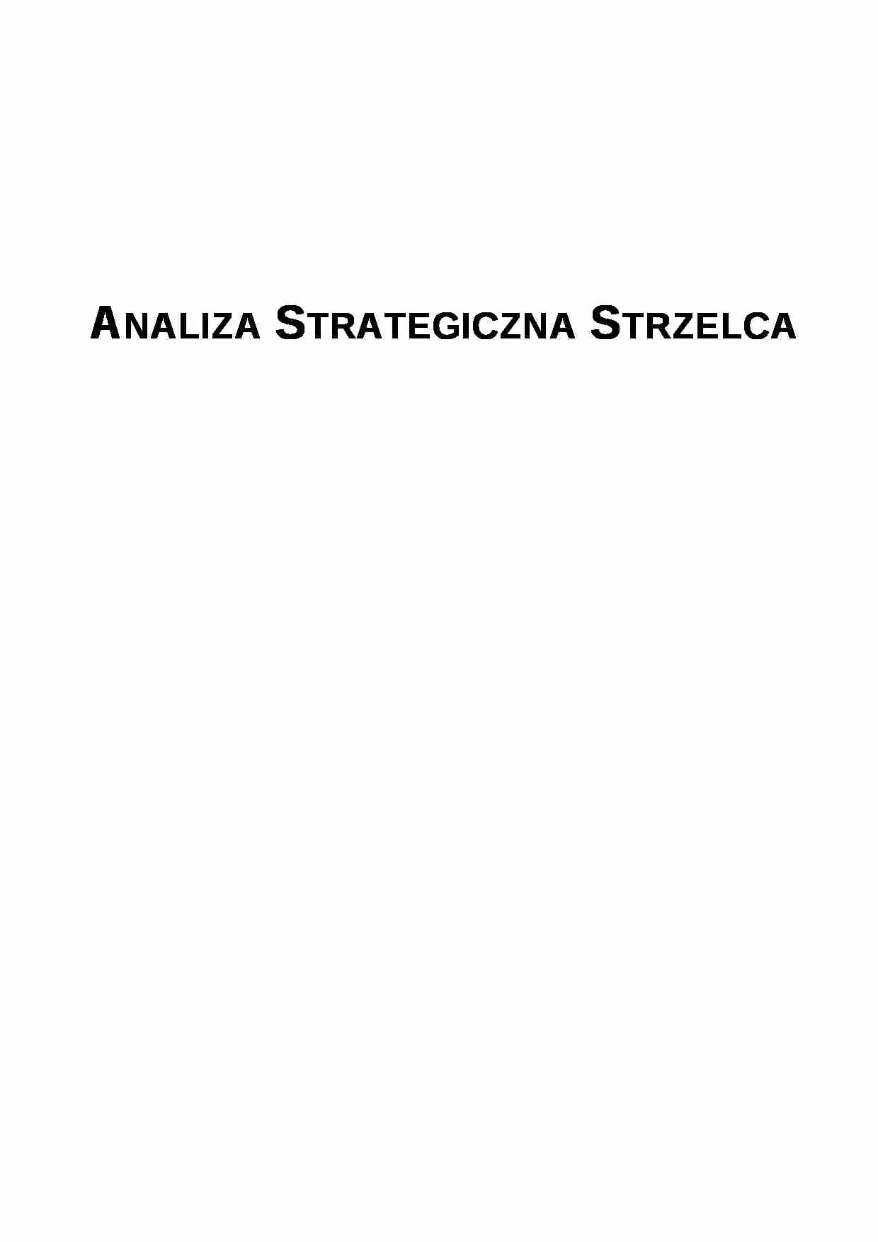 Analiza strategiczna Browaru- projekt - strona 1