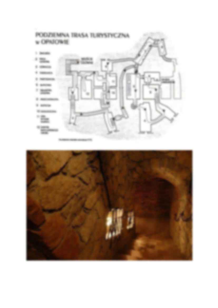Podziemna trasa turystyczna w Opatowie referat - strona 2
