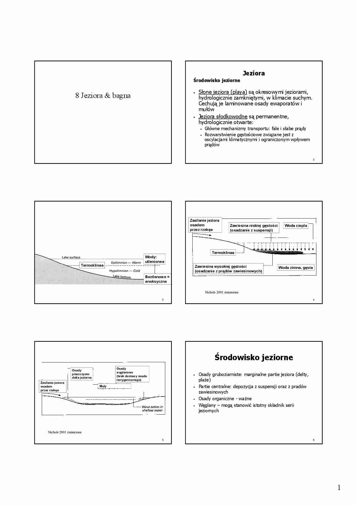 Geologia Jeziora i bagna - strona 1