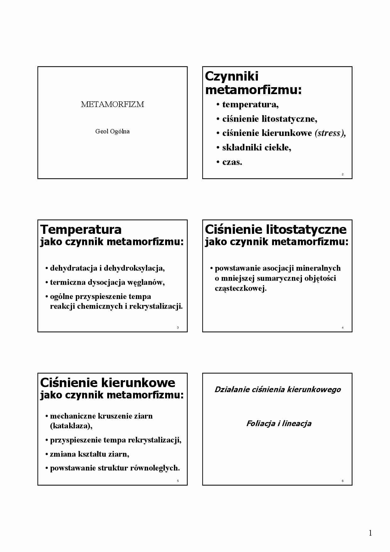 Geologia Metamorfizm - strona 1