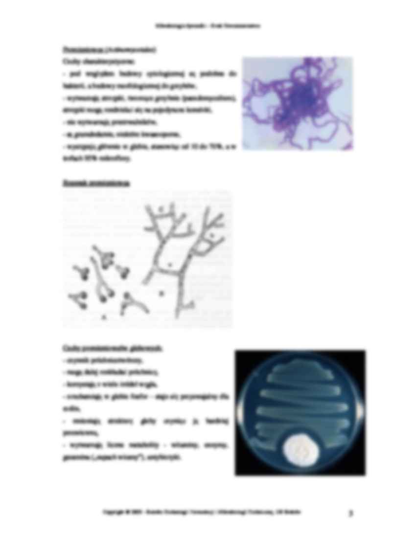 mikrobiologia, ćwiczenia 5  - strona 3