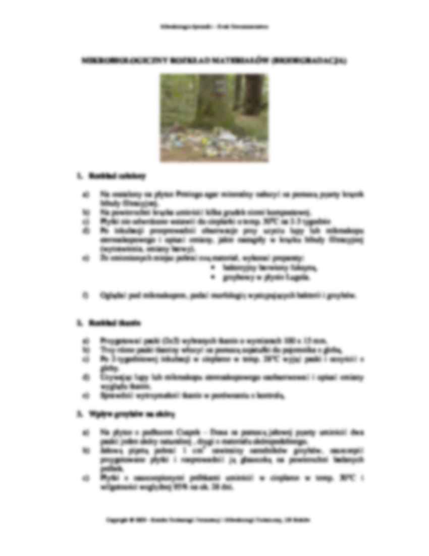 Mikroflora gleby - strona 3