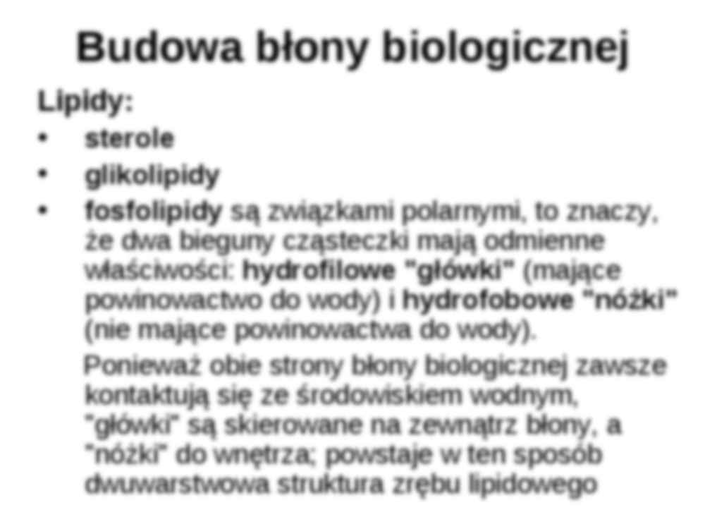 Biologia - budowa błony - strona 3