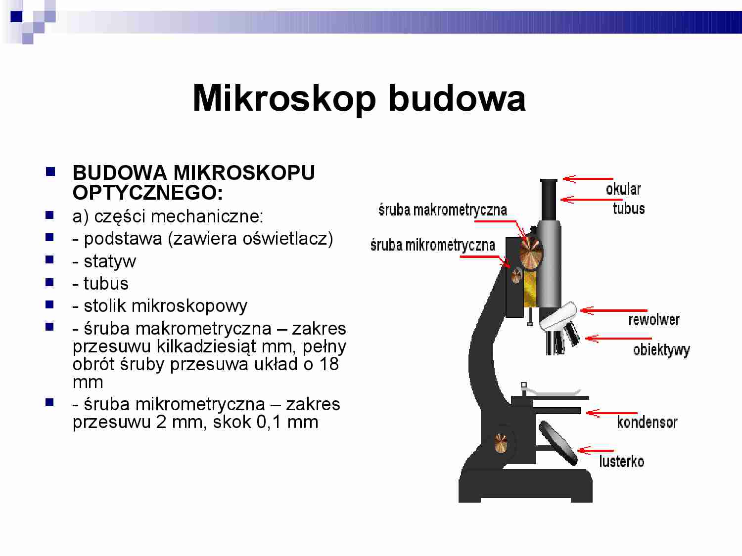 Budowa mikroskopu optycznego - strona 1