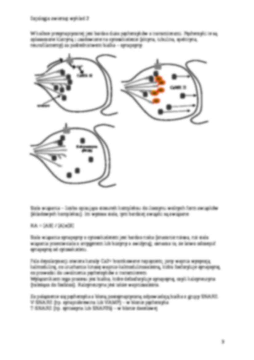 Transmisja synaptyczna, receptory - strona 3