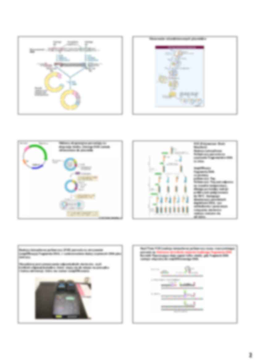 Podstawy biologii molekularnej - strona 2