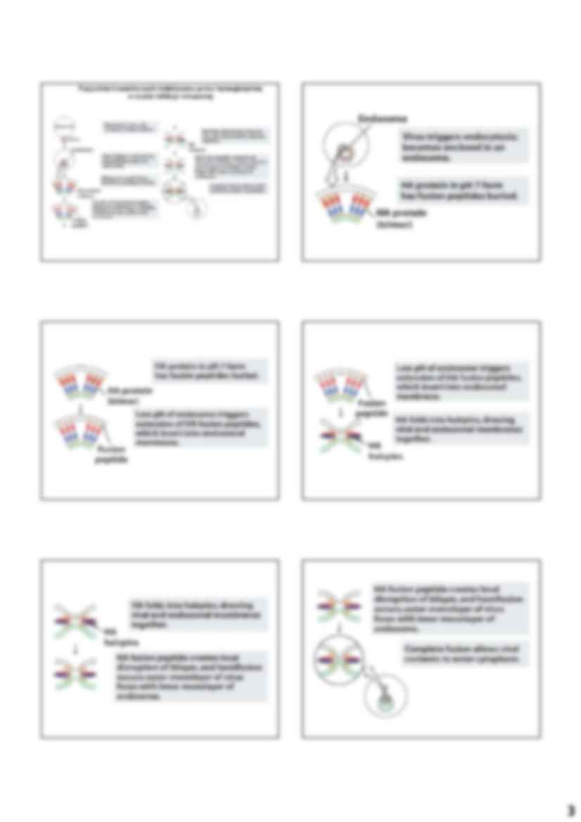 Biochemia - błony komórkowe - strona 3