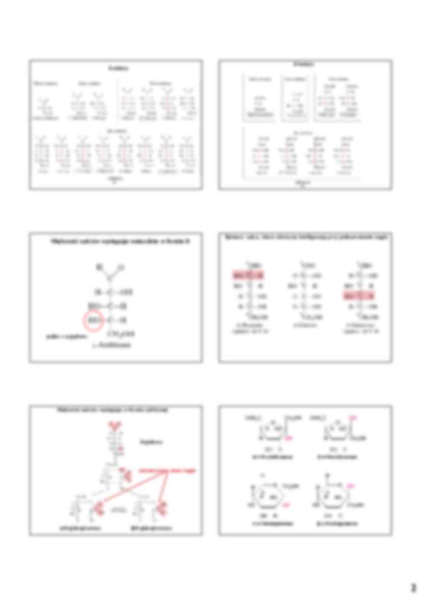Biochemia - węglowodany i glikobiologia - strona 2