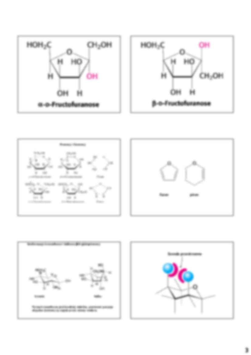 Biochemia - węglowodany i glikobiologia - strona 3