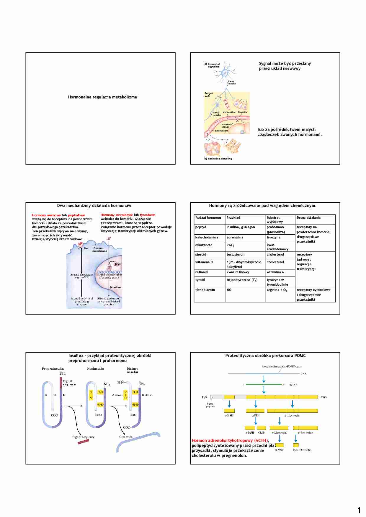 Hormonalna regulacja metabolizmu - strona 1