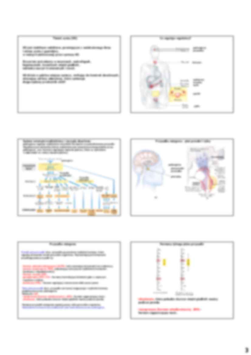 Hormonalna regulacja metabolizmu - strona 3