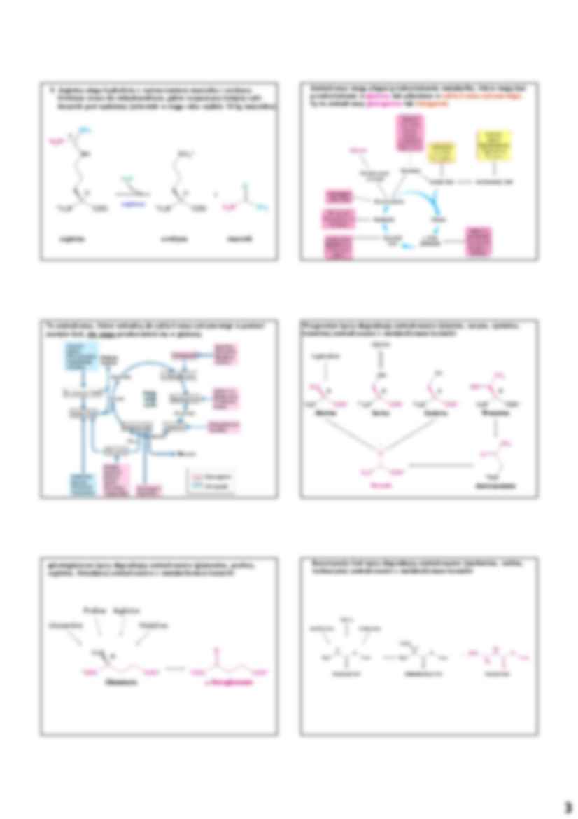 Przemiany białek i aminokwasów - strona 3