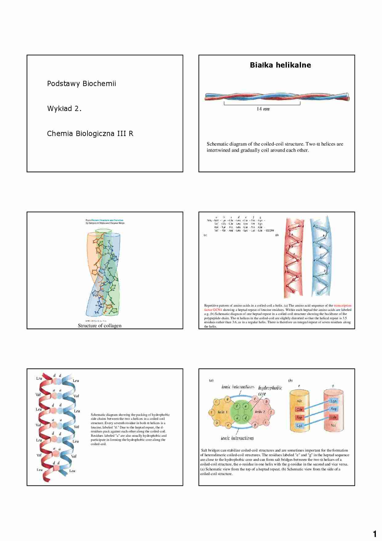 Biochemia - białka (2) - strona 1