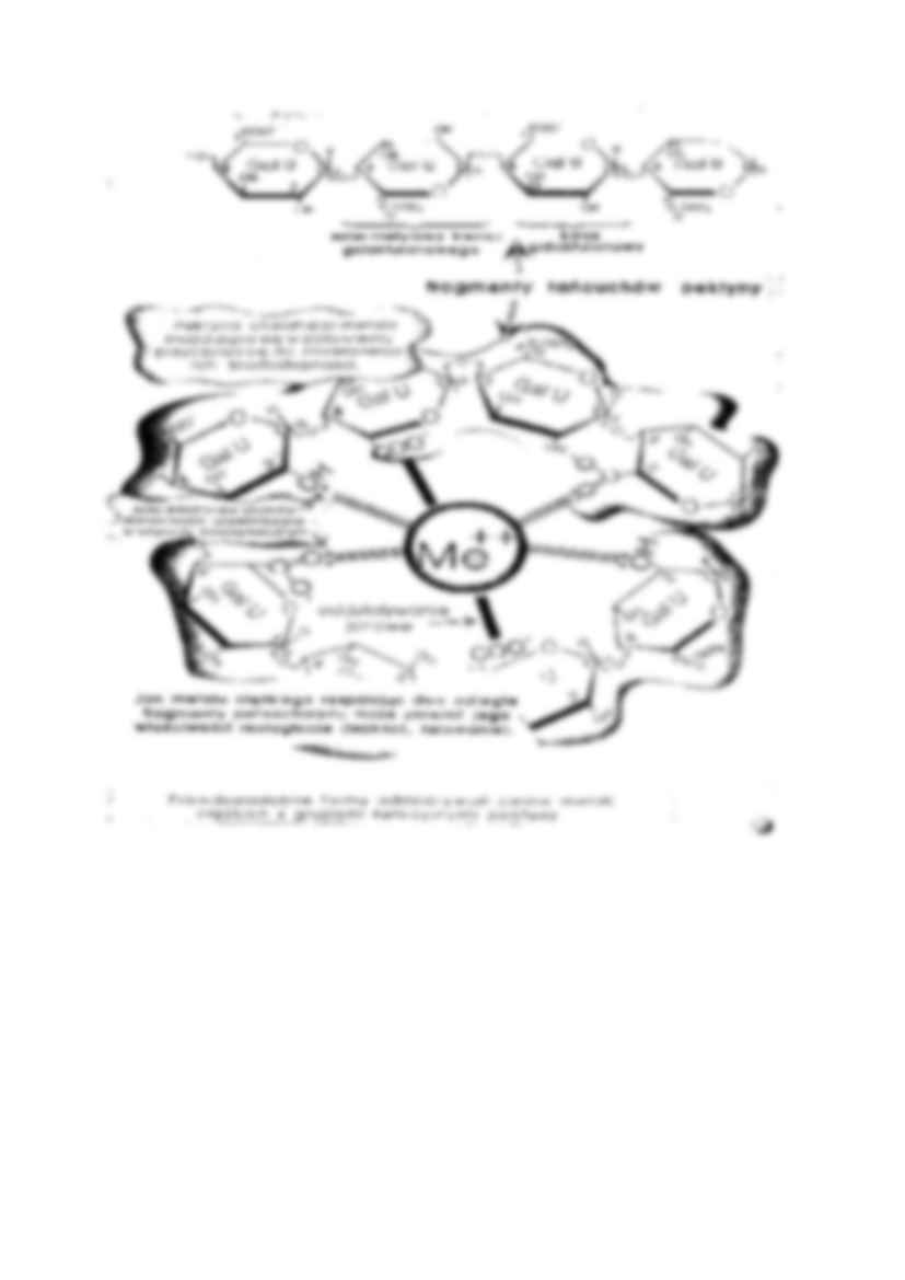 Enzymatyczna hydroliza - strona 2
