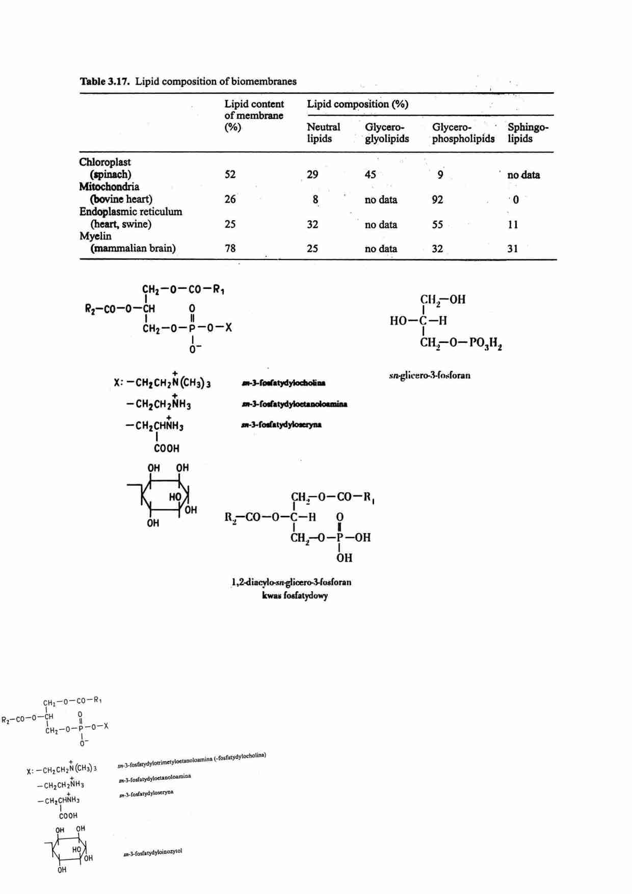 Lipidy - strona 1