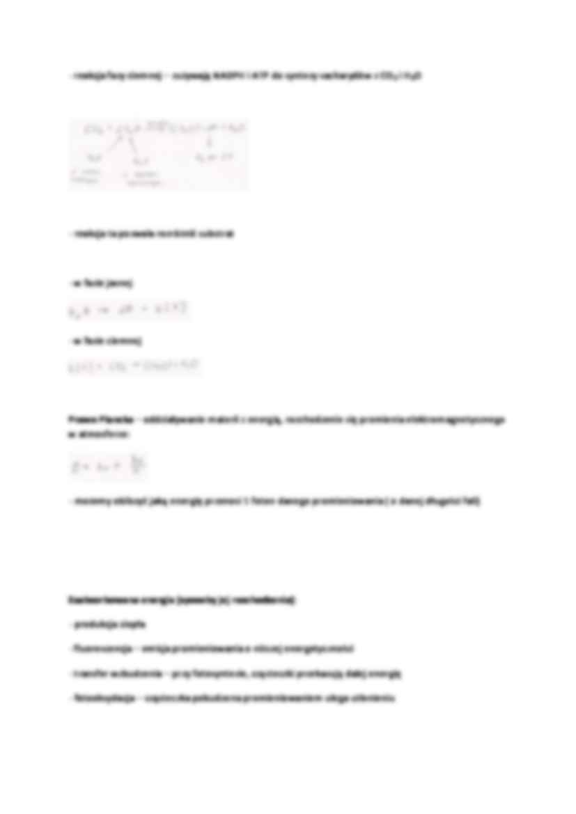 Fotosynteza - strona 2