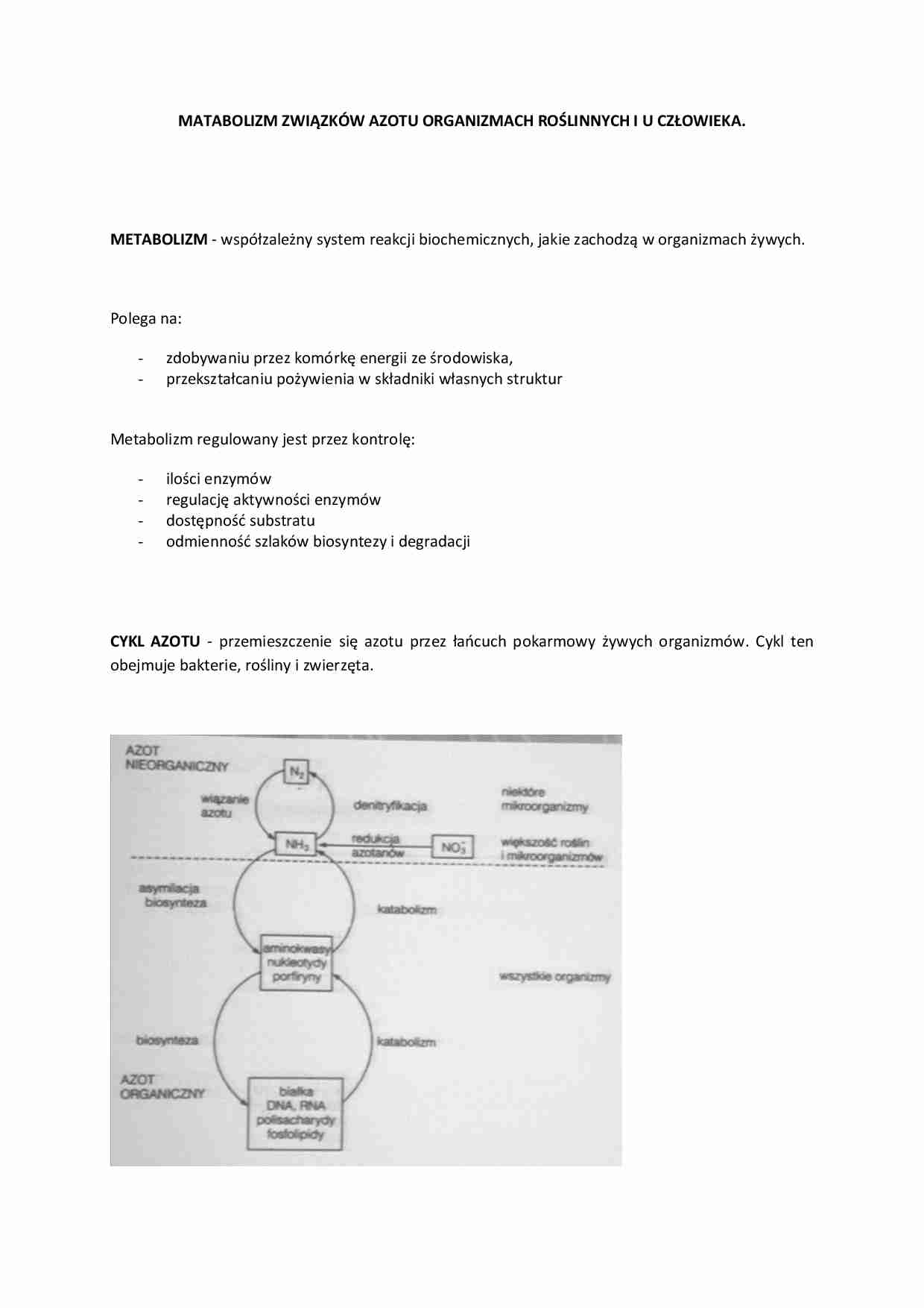 Metabolizm związków azotu w organizmach roślinnych i u człowieka - strona 1