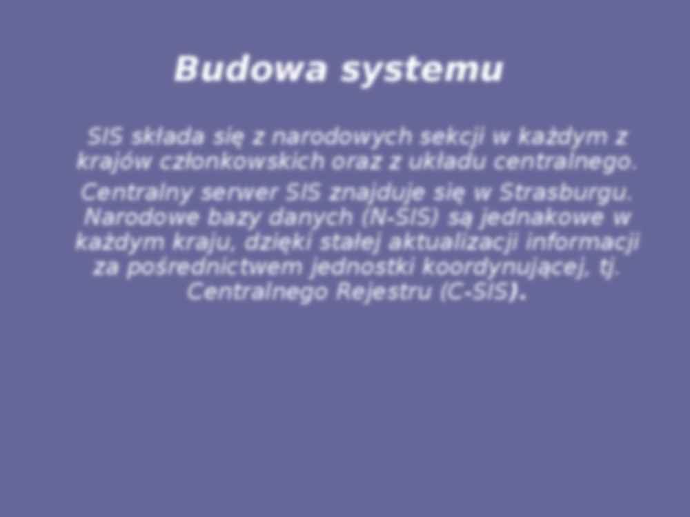 Systemy Informacyjne Schengen - strona 3