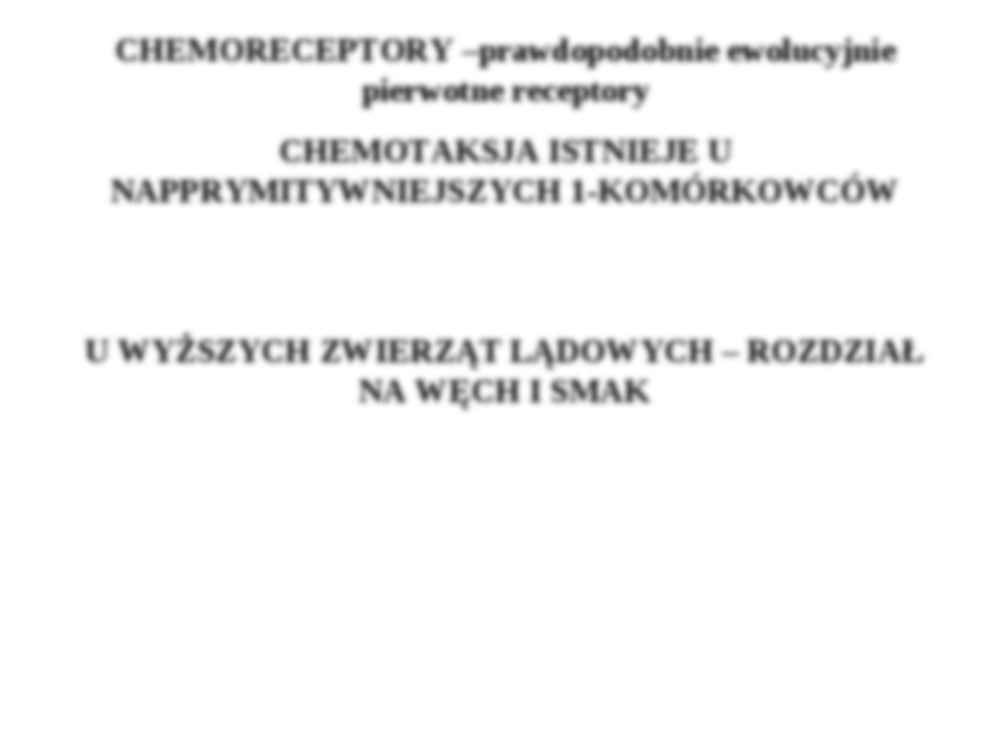 Chemoreceptory-rytmy biologiczne - strona 3