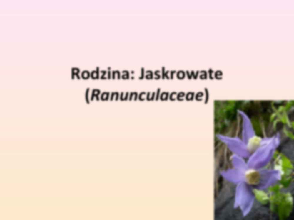 Przewodnik do rozpoznawania roślin użytkowych i trujących - rodzina Jaskrowate - strona 3