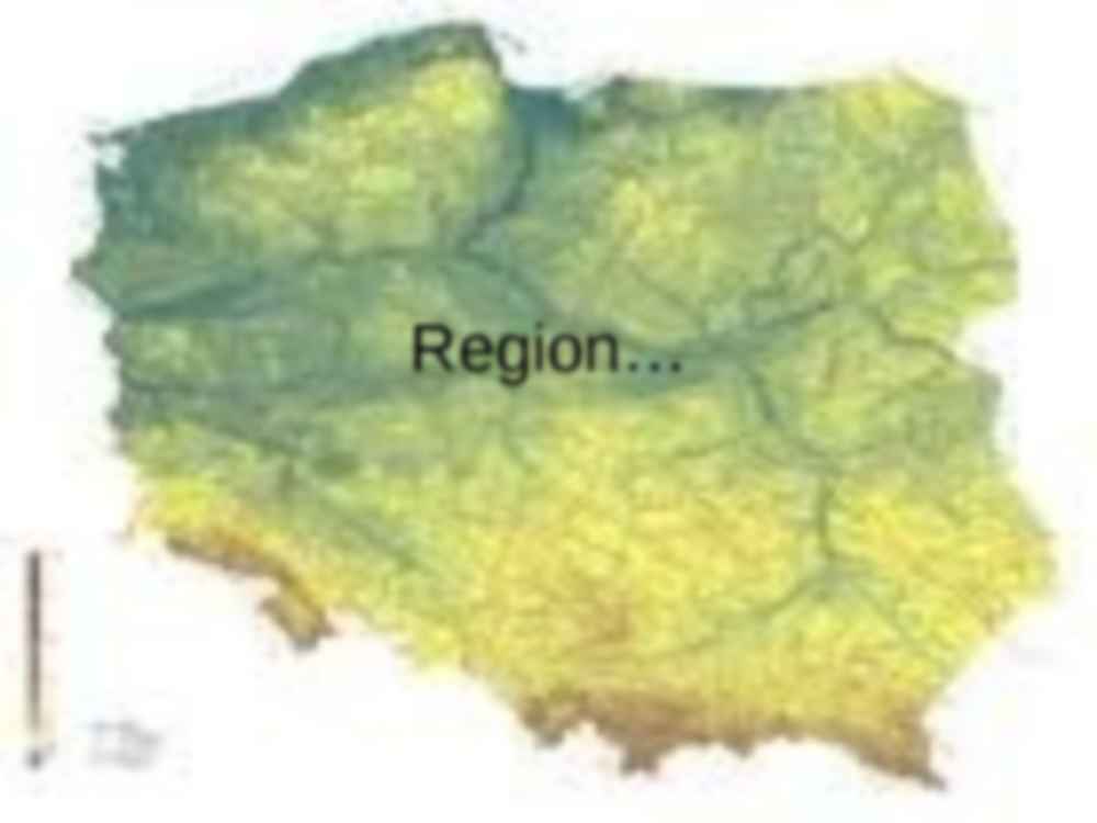 Znaczenie regionw jako jednostek terytorialnych - strona 3