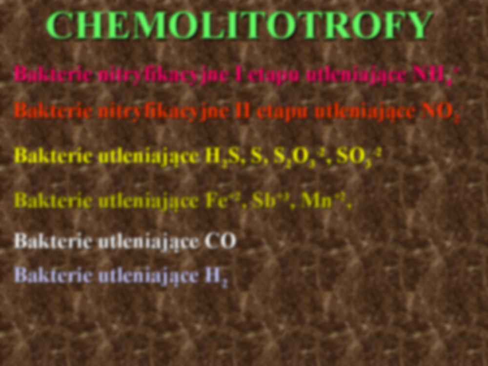 Chemolitotrofy - strona 2