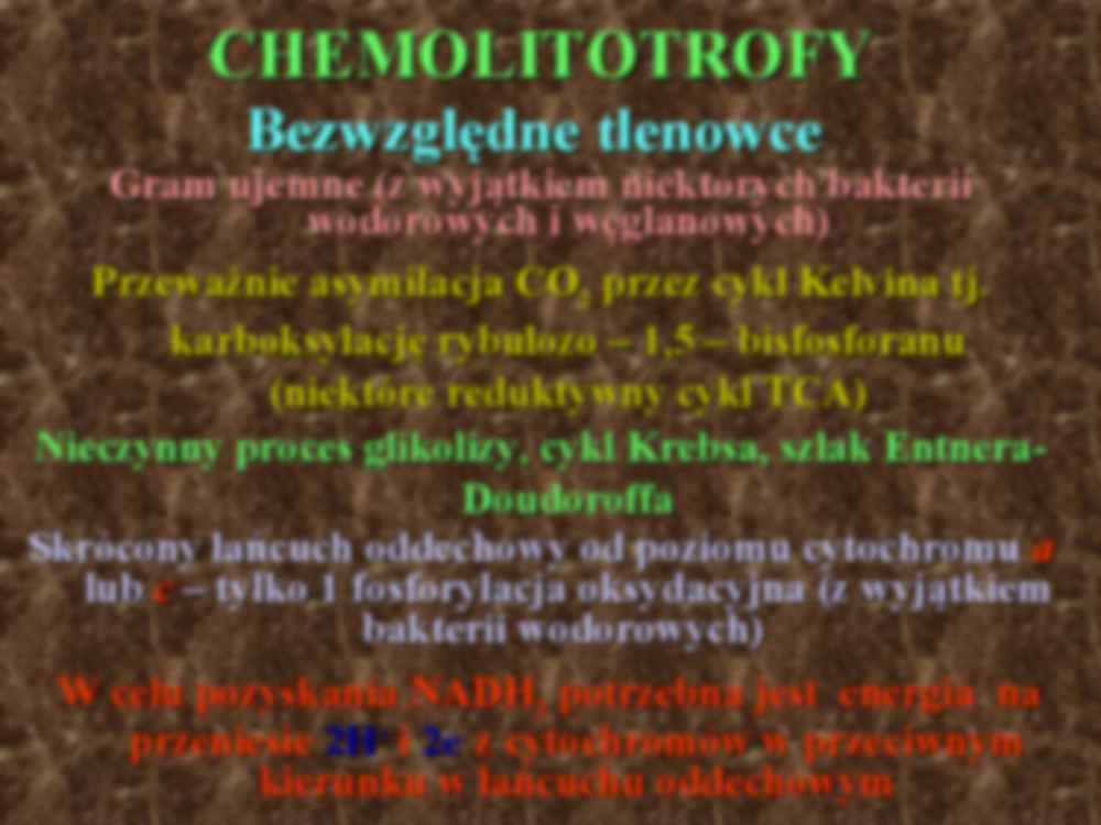 Chemolitotrofy - strona 3