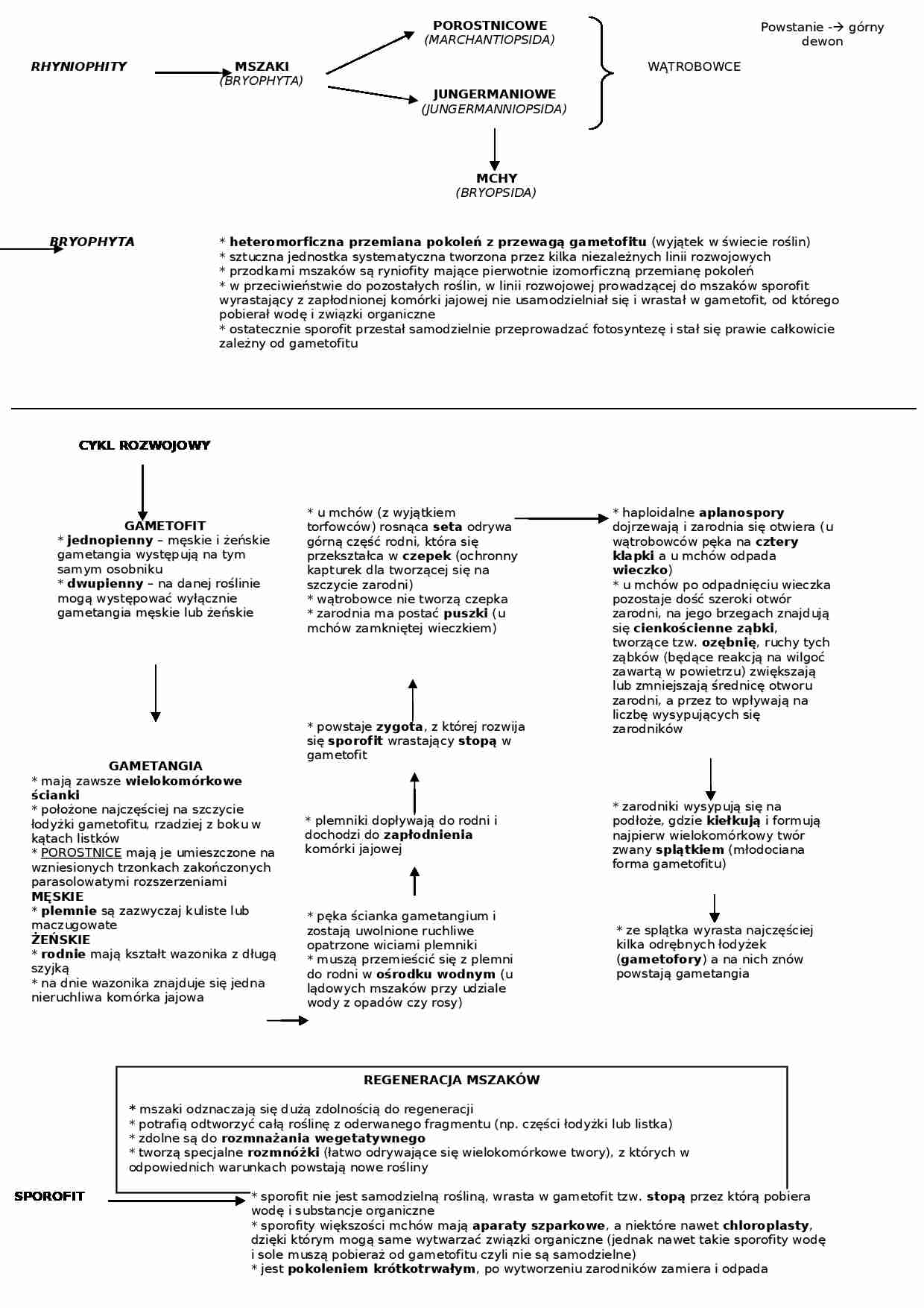 Biologia - mszaki i ich cechy - strona 1