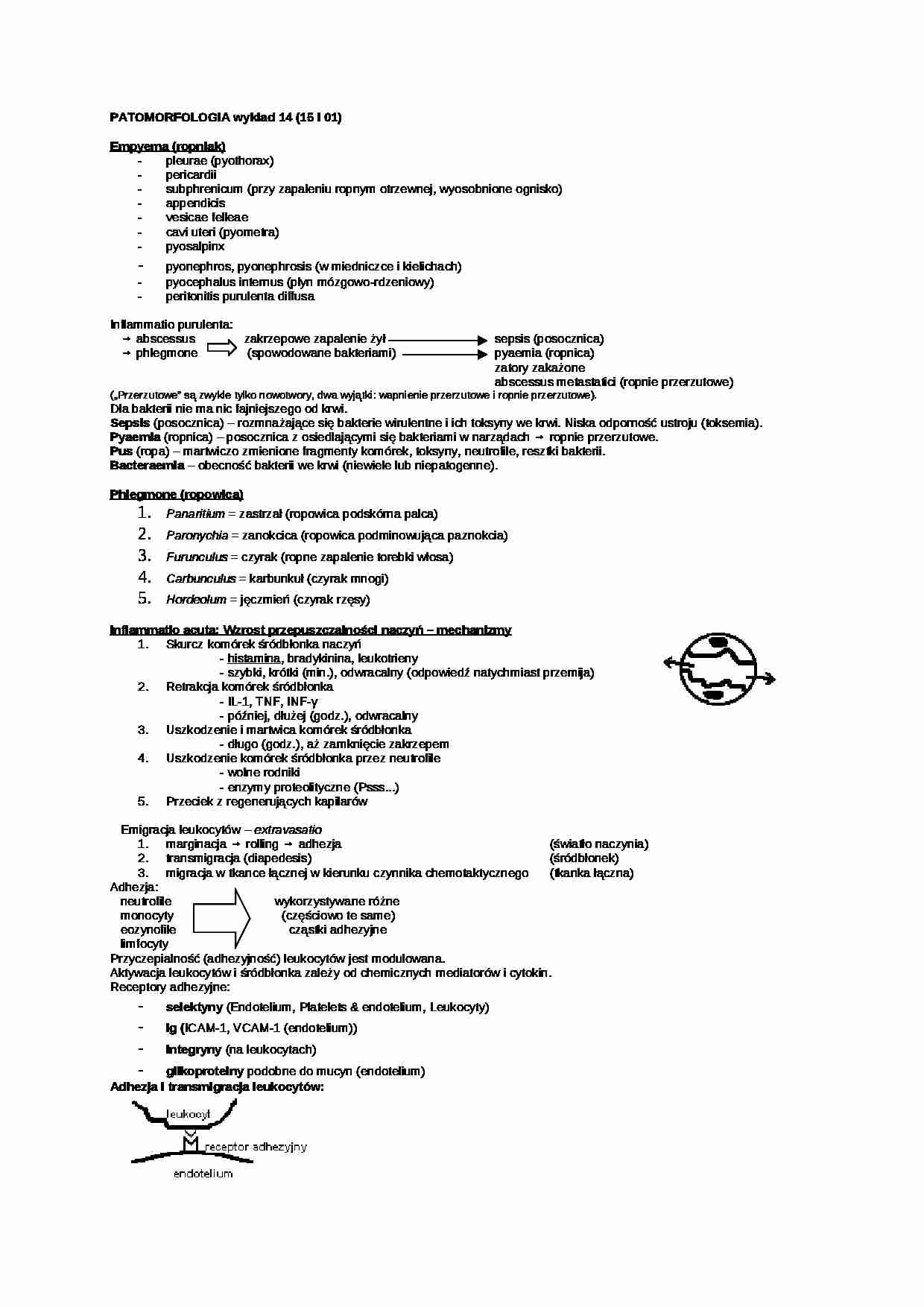 Patomorfologia - wykład 13 - strona 1