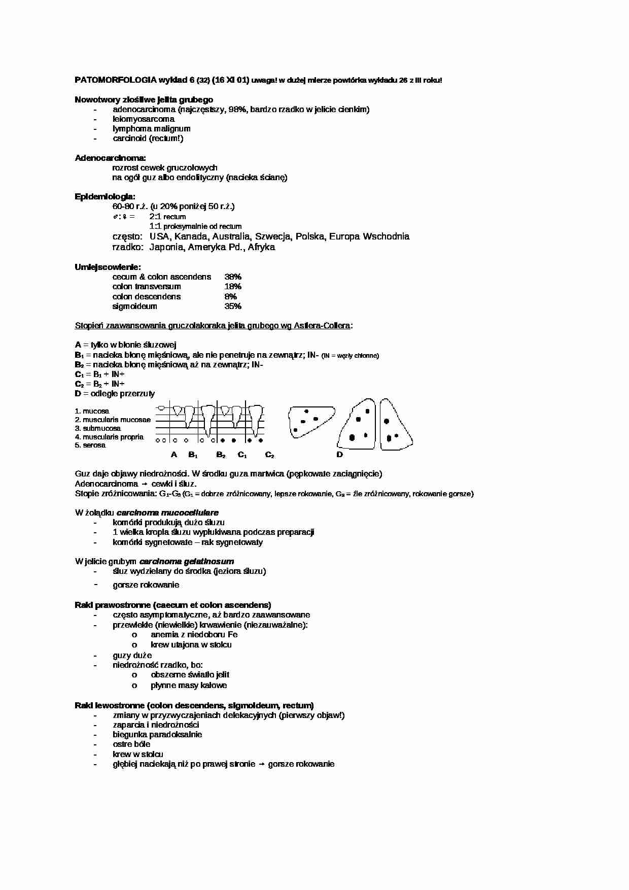 Patomorfologia - wykład 31 - strona 1