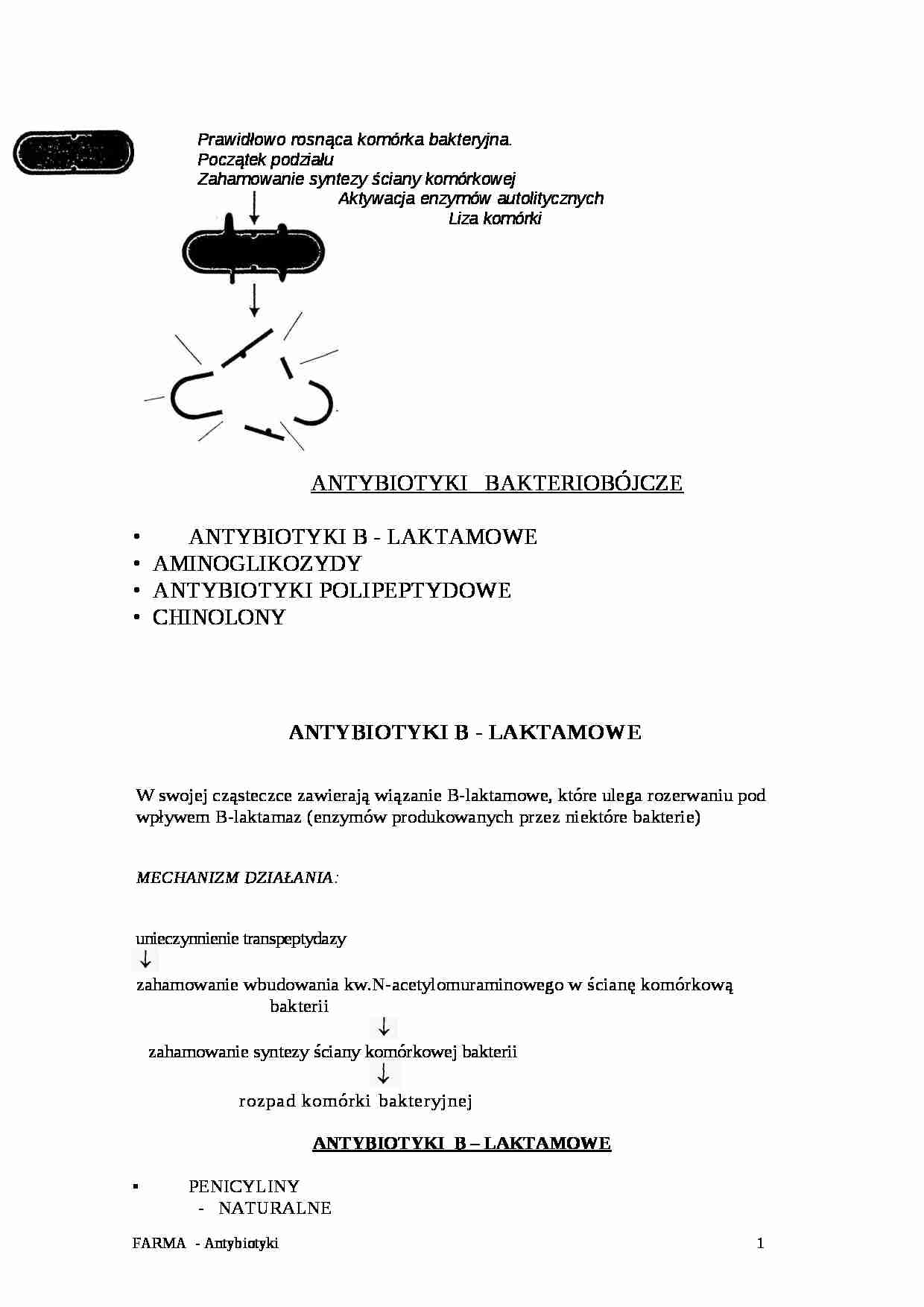 Antybiotyki (3) - strona 1