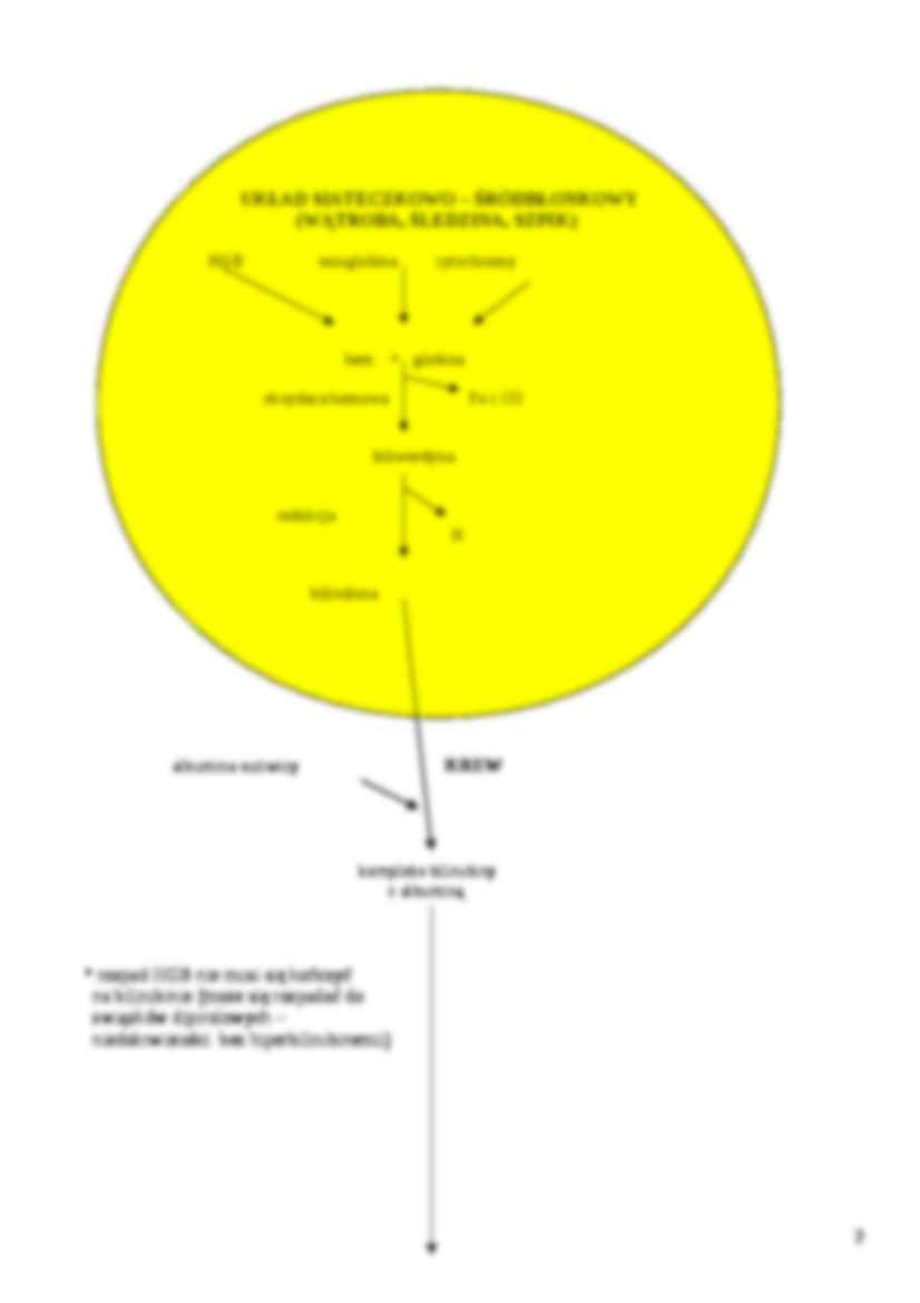 Żółtaczka w patofizjologii - strona 2