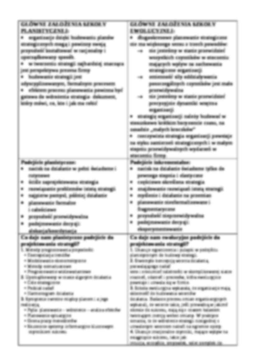 Strategie organizacji i klasyfikacja - strona 3