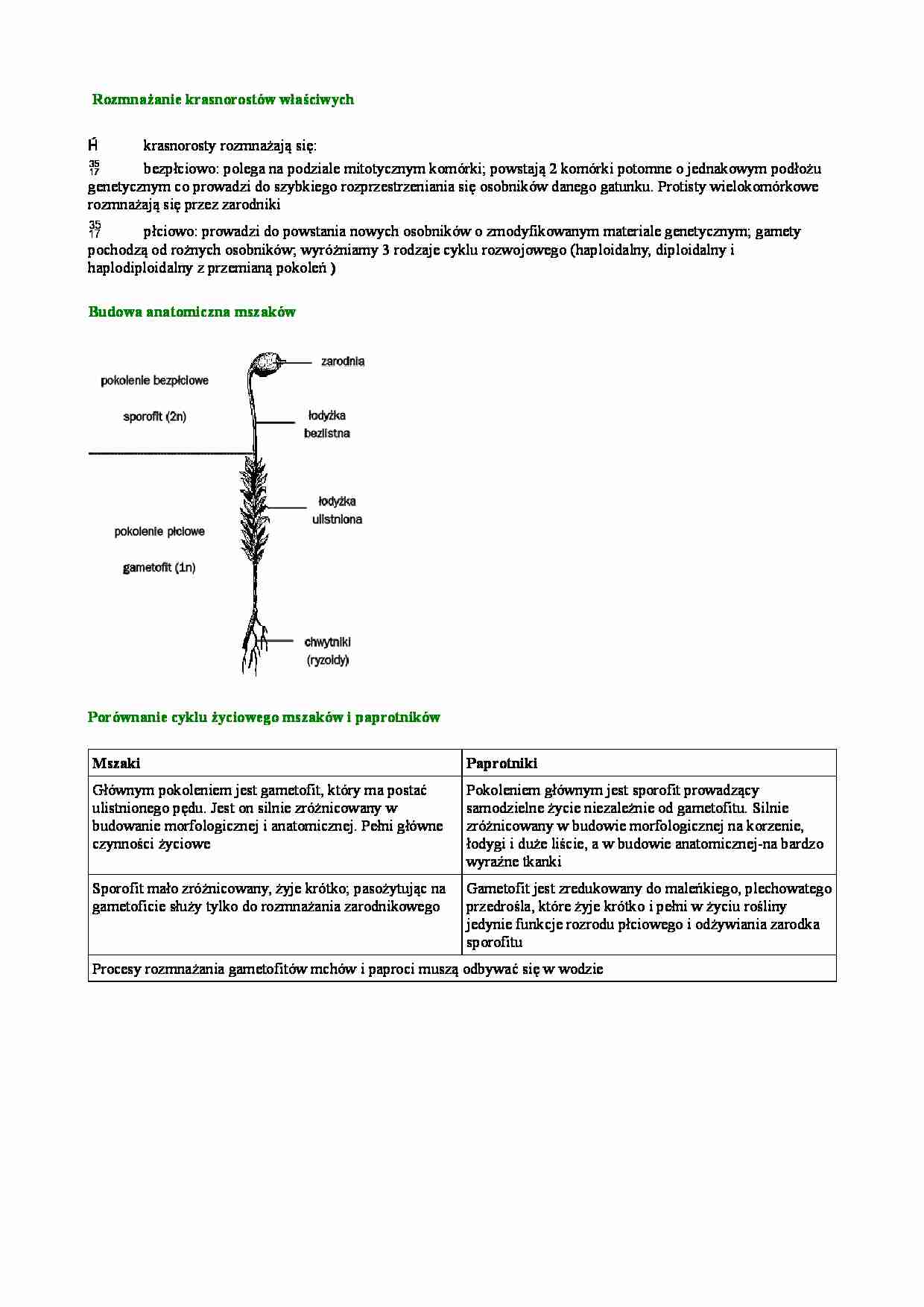 Rozmnażanie krasnorostów właściwych, budowa anatomiczna mszaków i porównanie cyklu życiowego mszaków i paprotników - strona 1