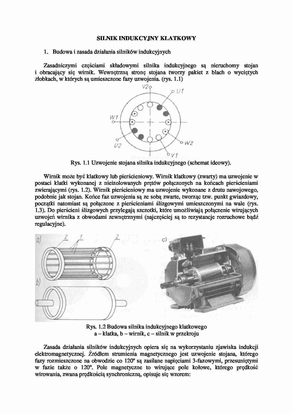 Silnik indukcyjny klatkowy - strona 1