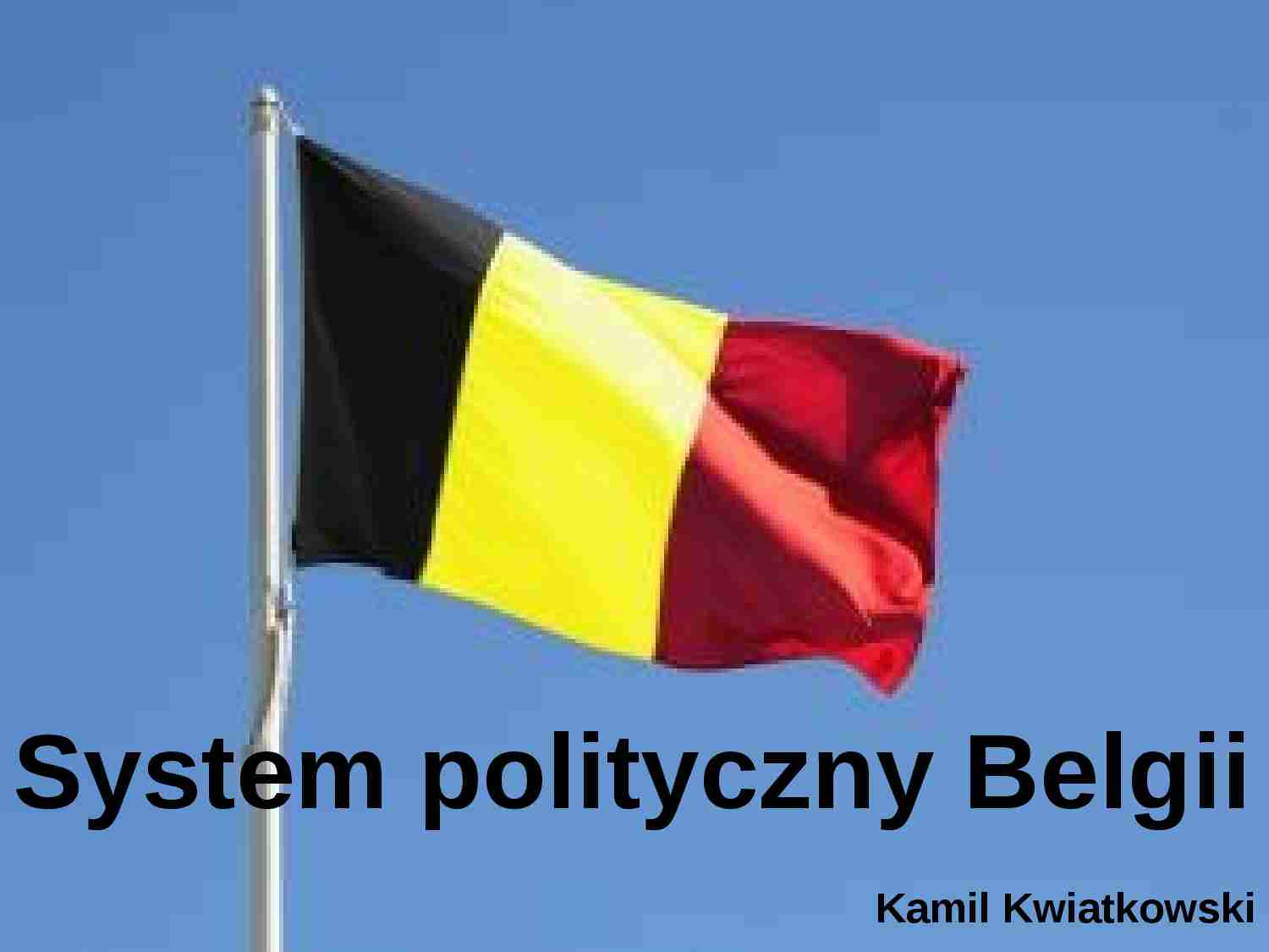 System polityczny Belgii - strona 1