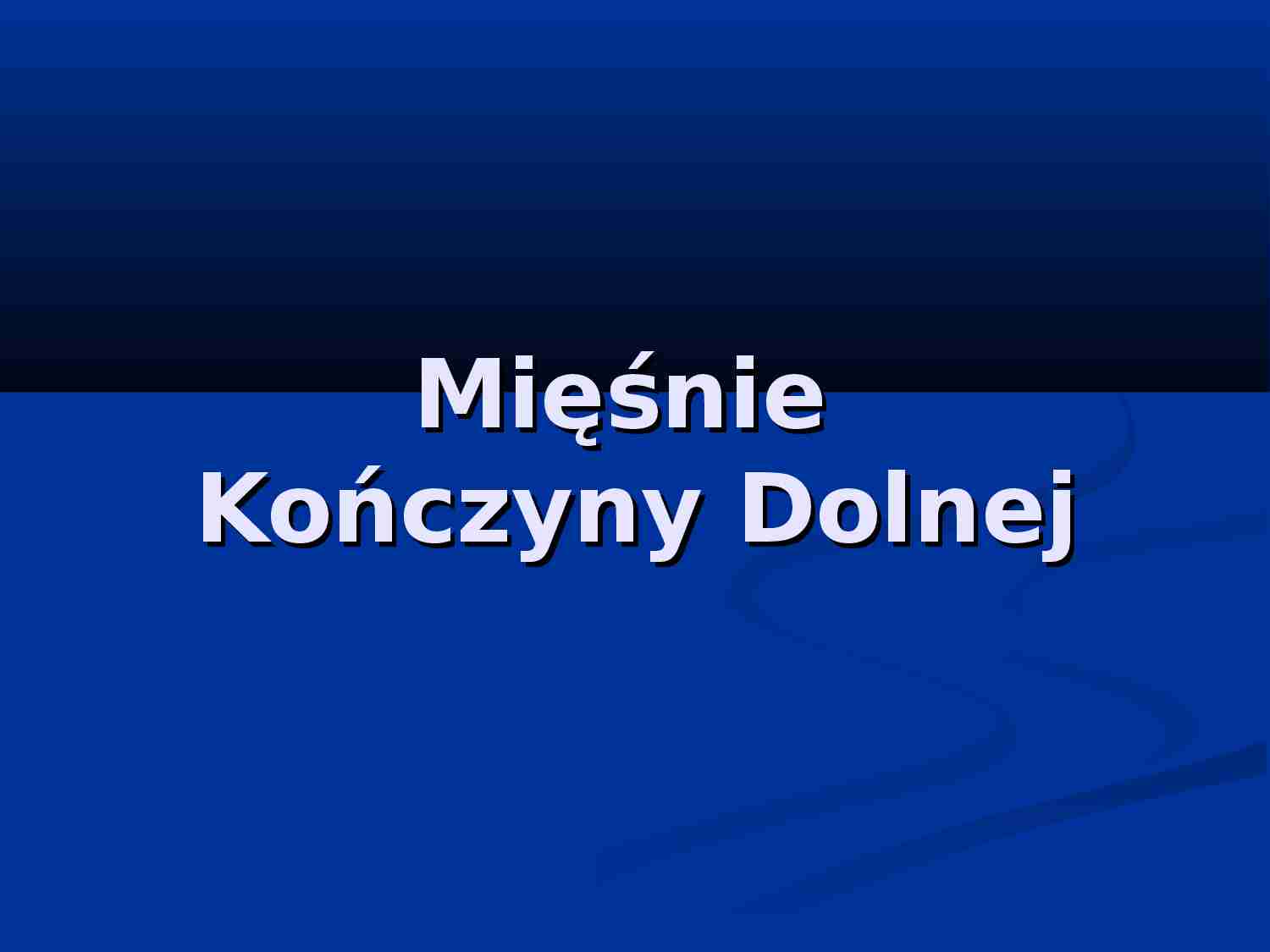 Mięśnie konczyny dolnej - strona 1