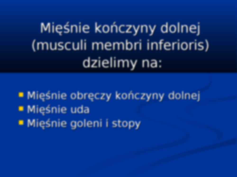 Mięśnie konczyny dolnej - strona 2