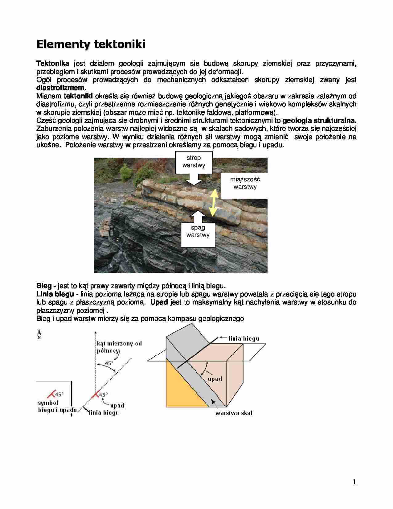 Elementy tektoniki-wykład - strona 1
