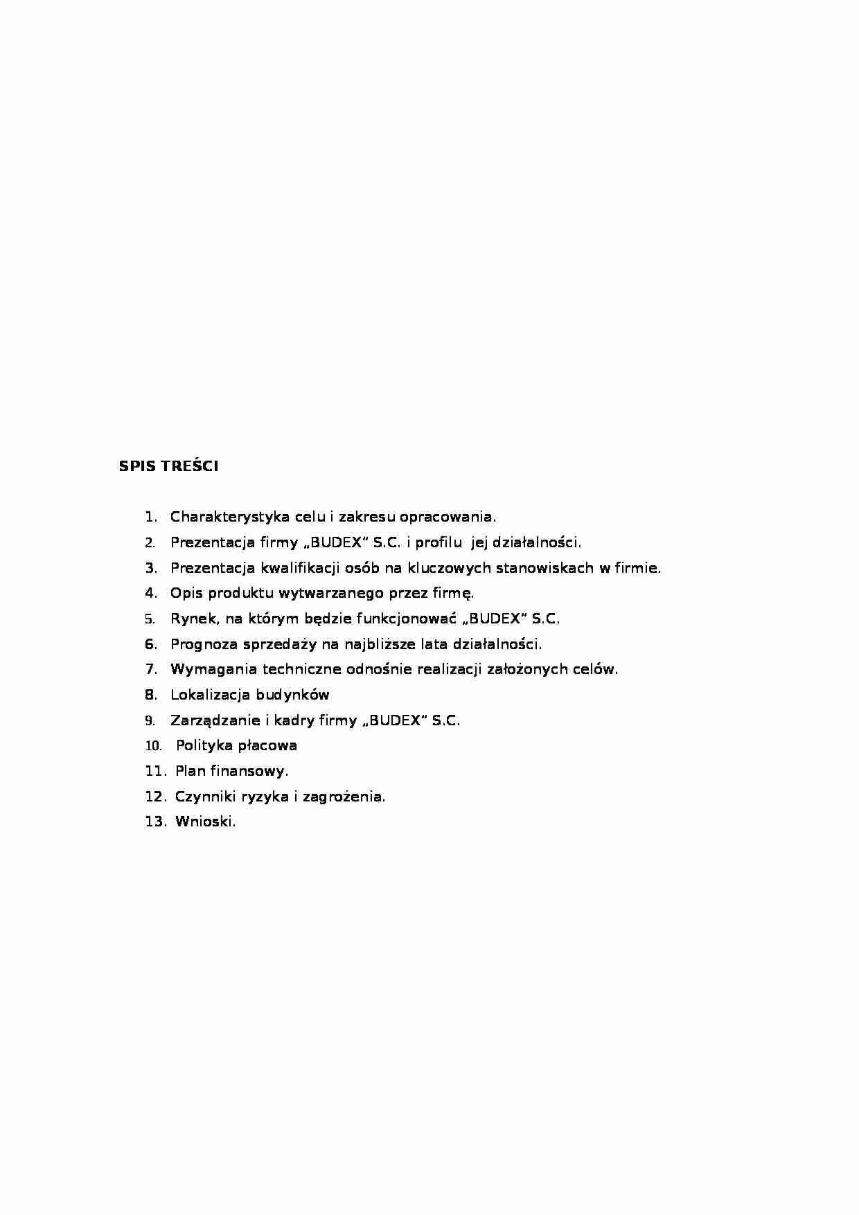 Biznes plan - Budex - charakterystyka działalności - strona 1