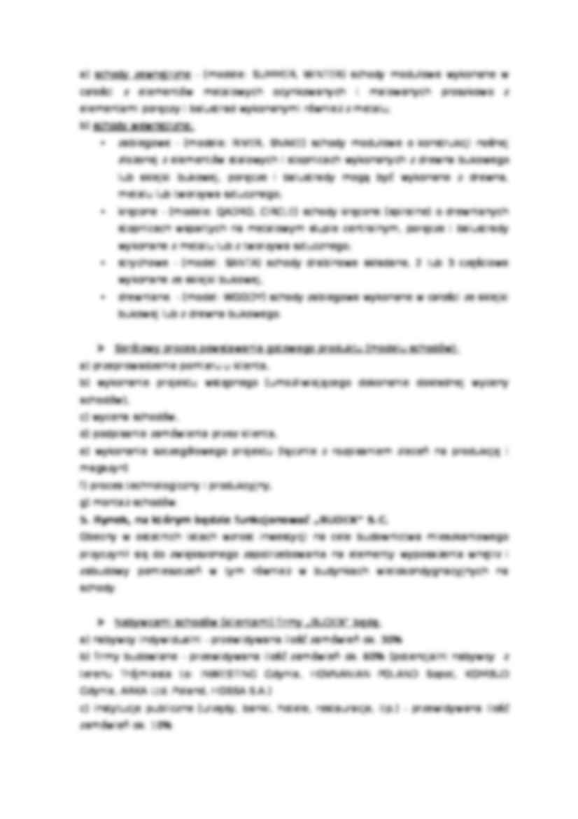 Biznes plan - Budex - charakterystyka działalności - strona 3