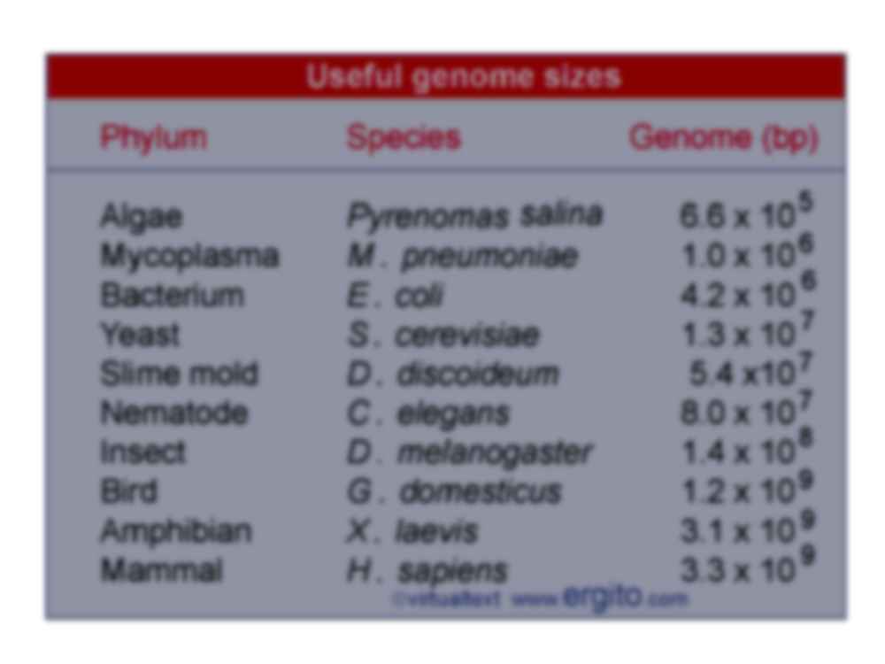 Materiał genetyczny organizmów  - strona 2