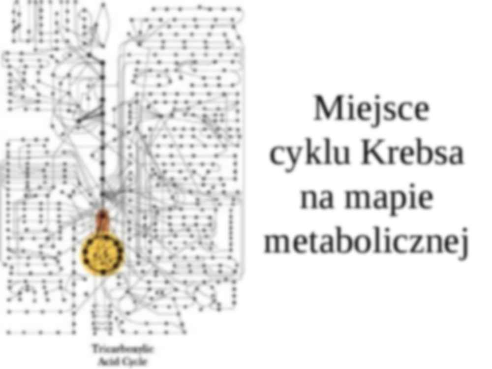 Cykl Krebsa - strona 2