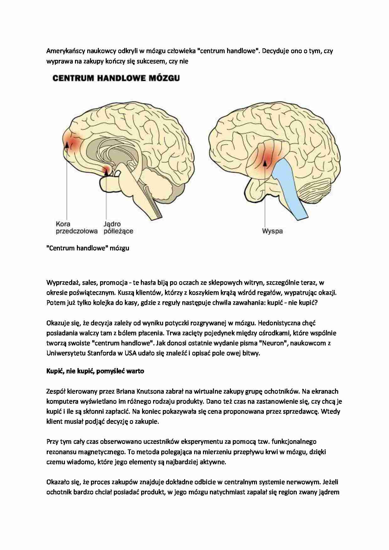 Mózg człowieka  - strona 1